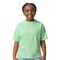 Gildan® Youth Ultra Cotton Heavyweight Short Sleeve T Shirt For Custom Printing And Durable School Wear